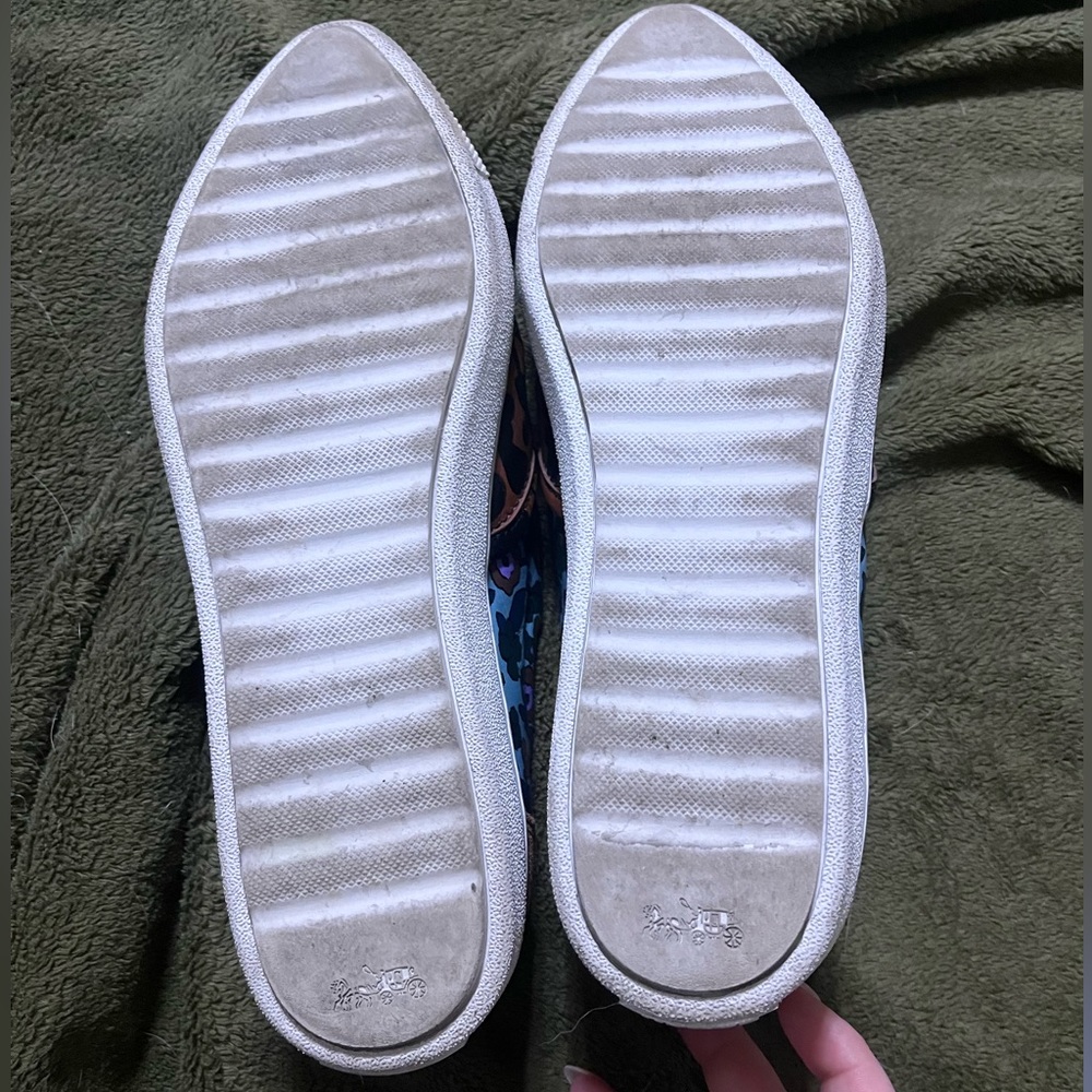 Coach Pointed Toe Tennis Shoes - Picture 4 of 4